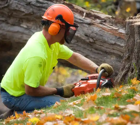 tree services Woodlawn